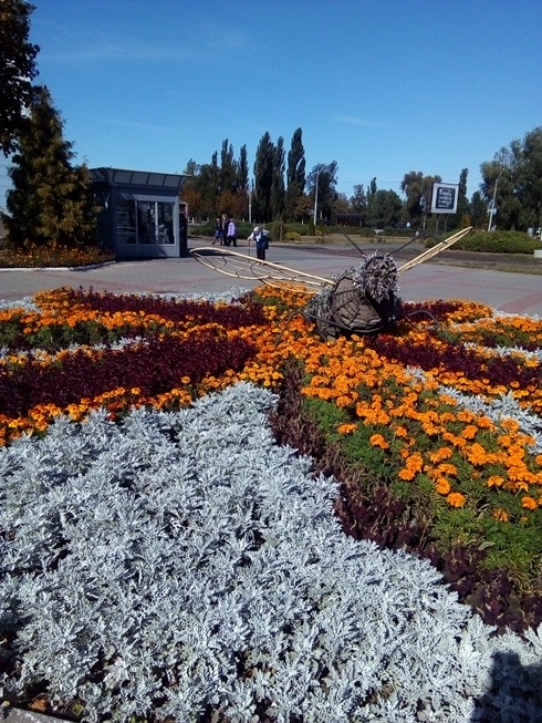 IMG 20200921 135105