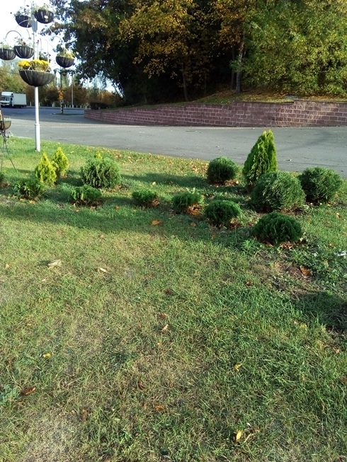 IMG 20200928 164143