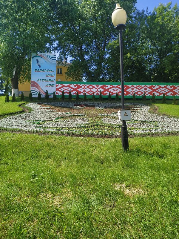 зеленхоз 6