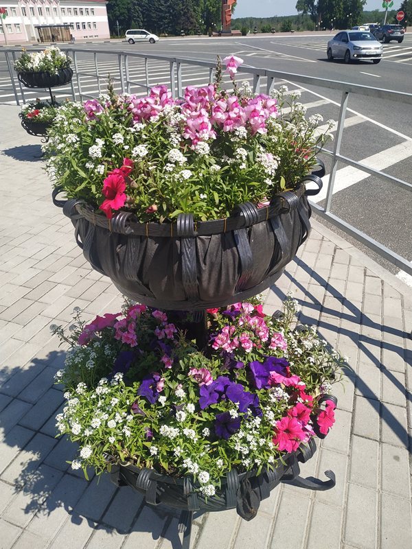 цветы1