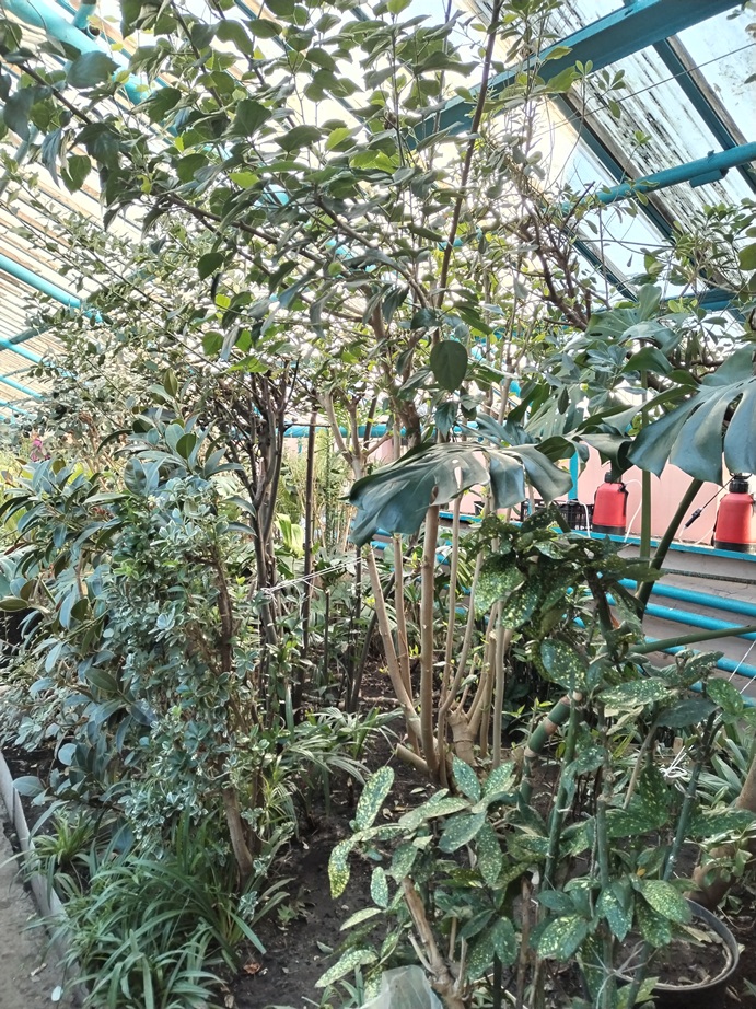 ЗХ2