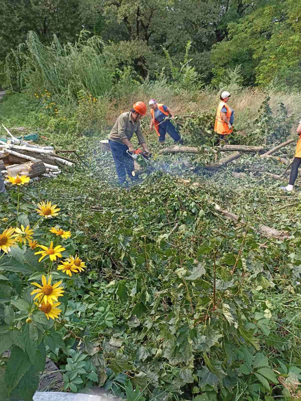 photo 2024 07 17 16 12 47